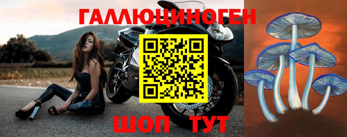 Галлюциногенные грибы прущие грибы  Галлюциногенные грибы Psilocybe  Вход с VPN  Тимашёвск 