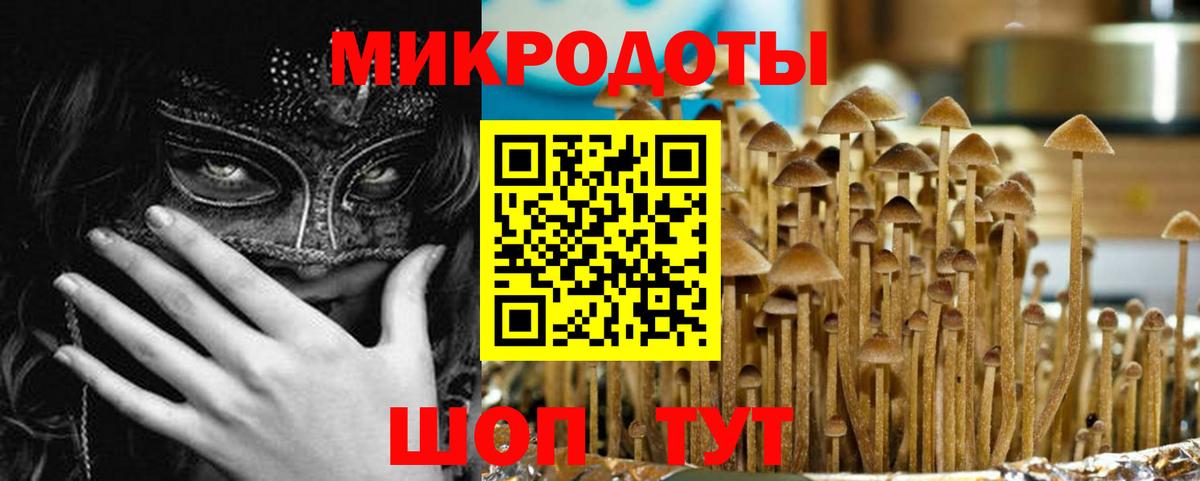 Галлюциногенные грибы MAGIC MUSHROOMS Тимашёвск