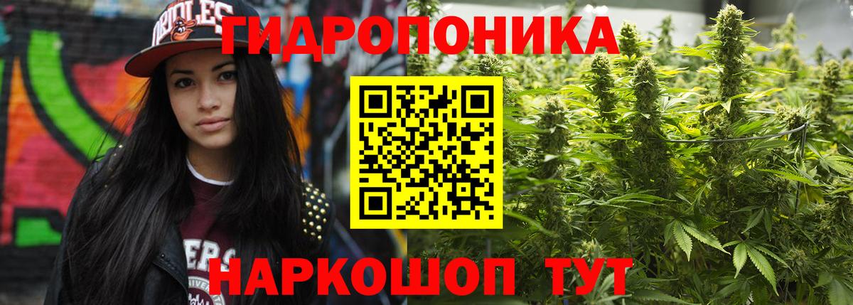 Бошки марихуана тримм  Бошки марихуана OG Kush  Тимашёвск  Вход с VPN  Каннабис тримм 